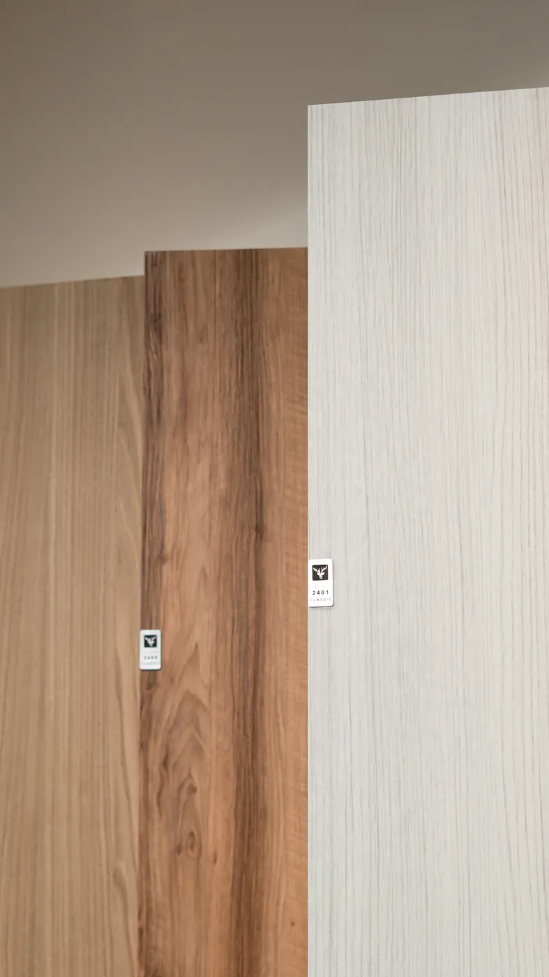 Main view of the showroom