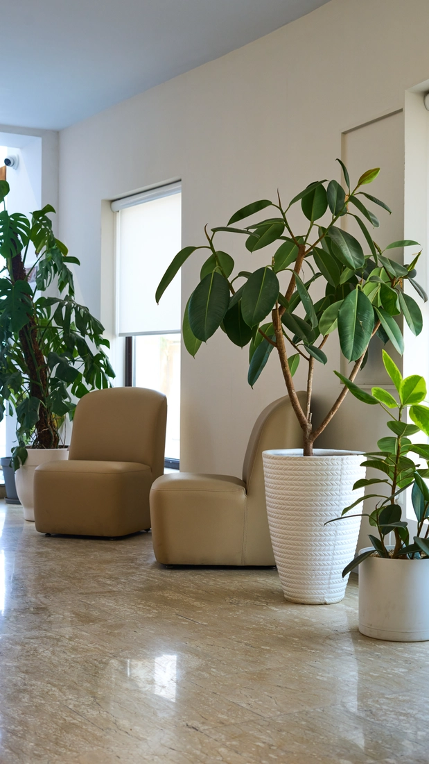 تصویر پورتال ۱