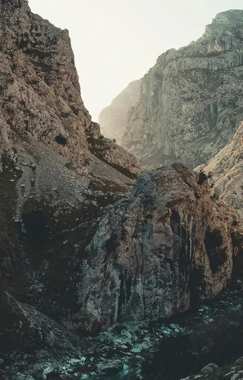 Discovery Background